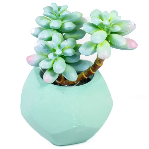 Suculenta en maceta geometrica grande