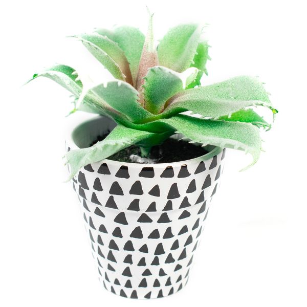 Suculenta gris en maceta con triangulos