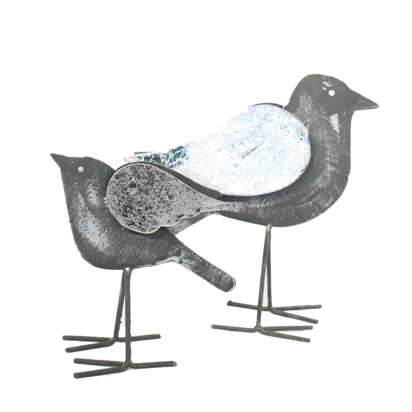 Pajaro Ala Plateada Chico