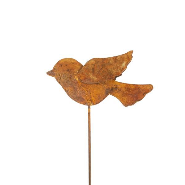 Pinche Pajarito De Chapa