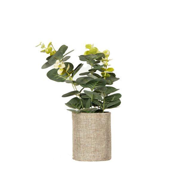 EUCALIPTUS VERDE EN MACETA TELA