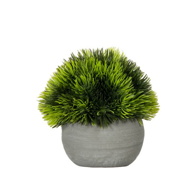 GRASS EN MACETA REDONDA