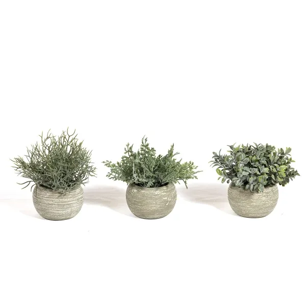 Helecho en maceta gris