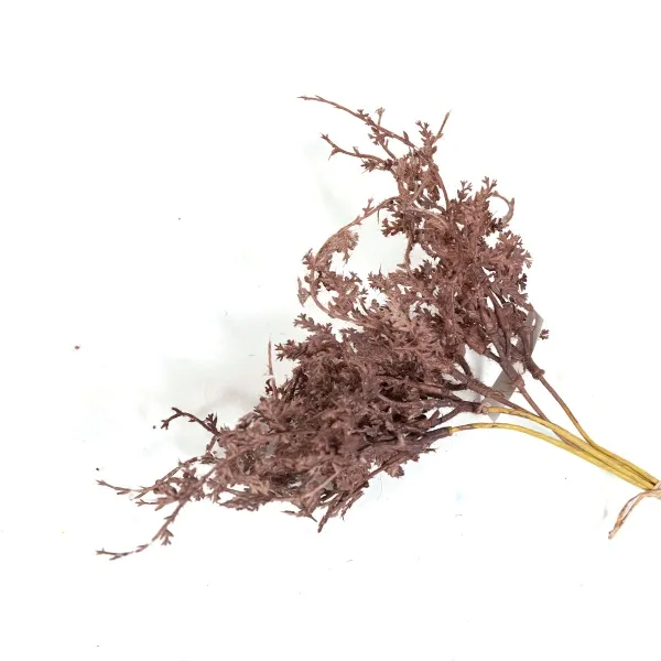 Weaping mora bouquet