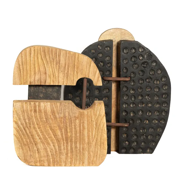 FIGURA MADERA EROSION