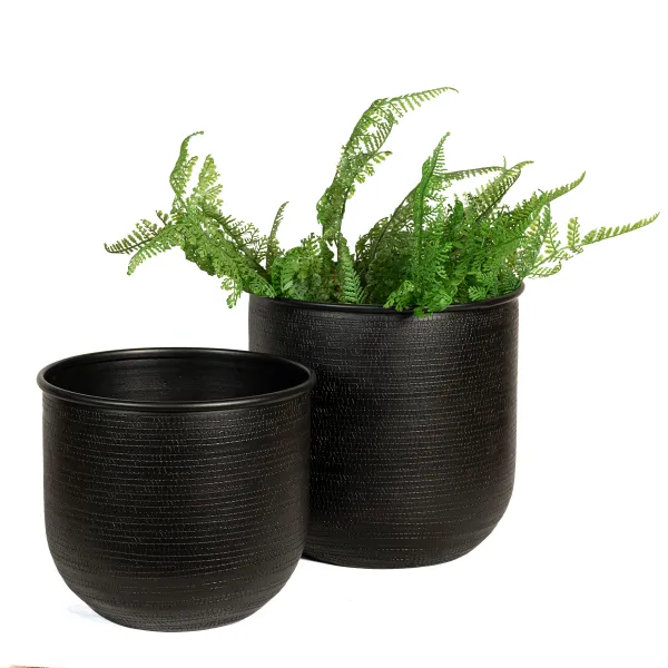 S*2 PORTAMACETA DRACO