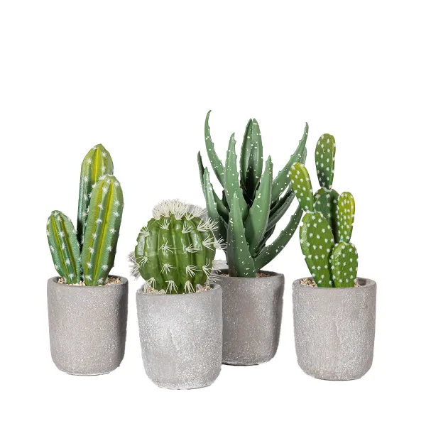 Cactus Con Maceta Cemento Surtido