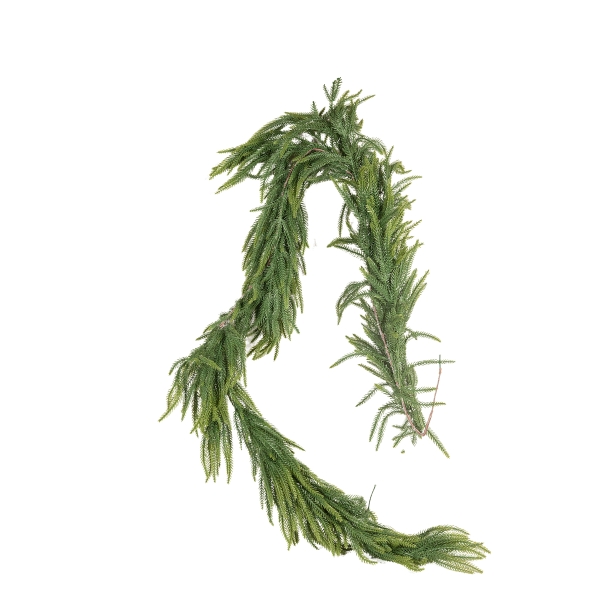 Guia Pino Araucaria 180cm