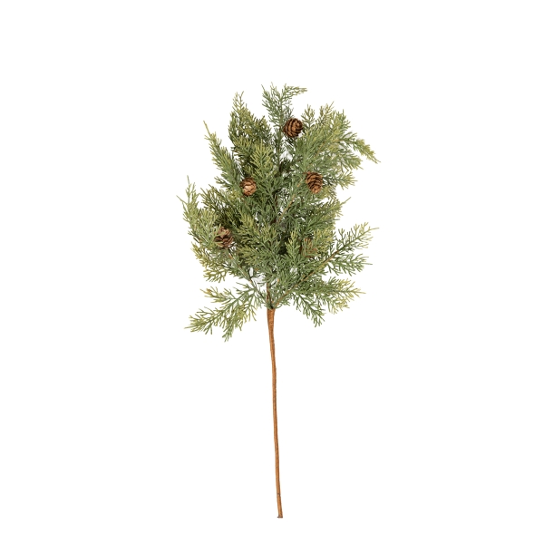 Vara Tuya Con Piñas 60cm
