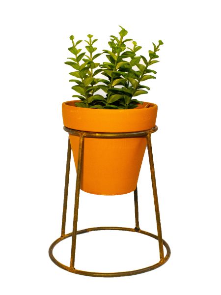 Pie conico con maceta de barro