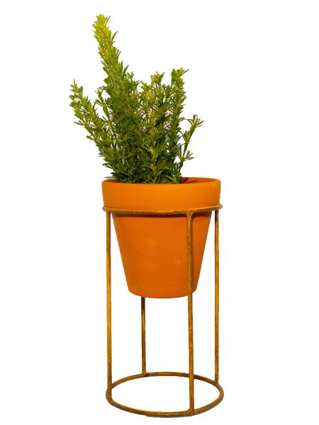 Pie redondo con maceta de barro