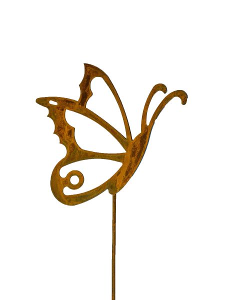 Pinche mariposa con un ala