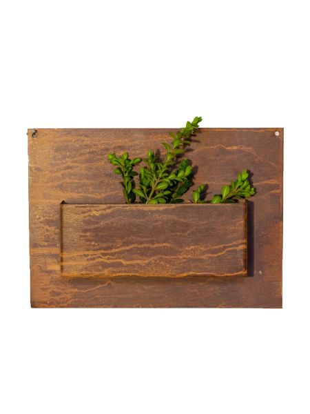 Portasuculenta de chapa horizontal chico