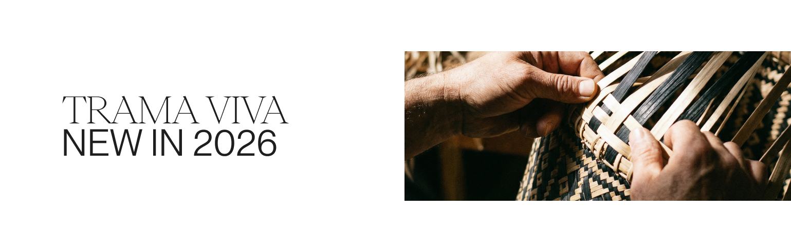 BANNER-ENVIOS-TOP-HOME